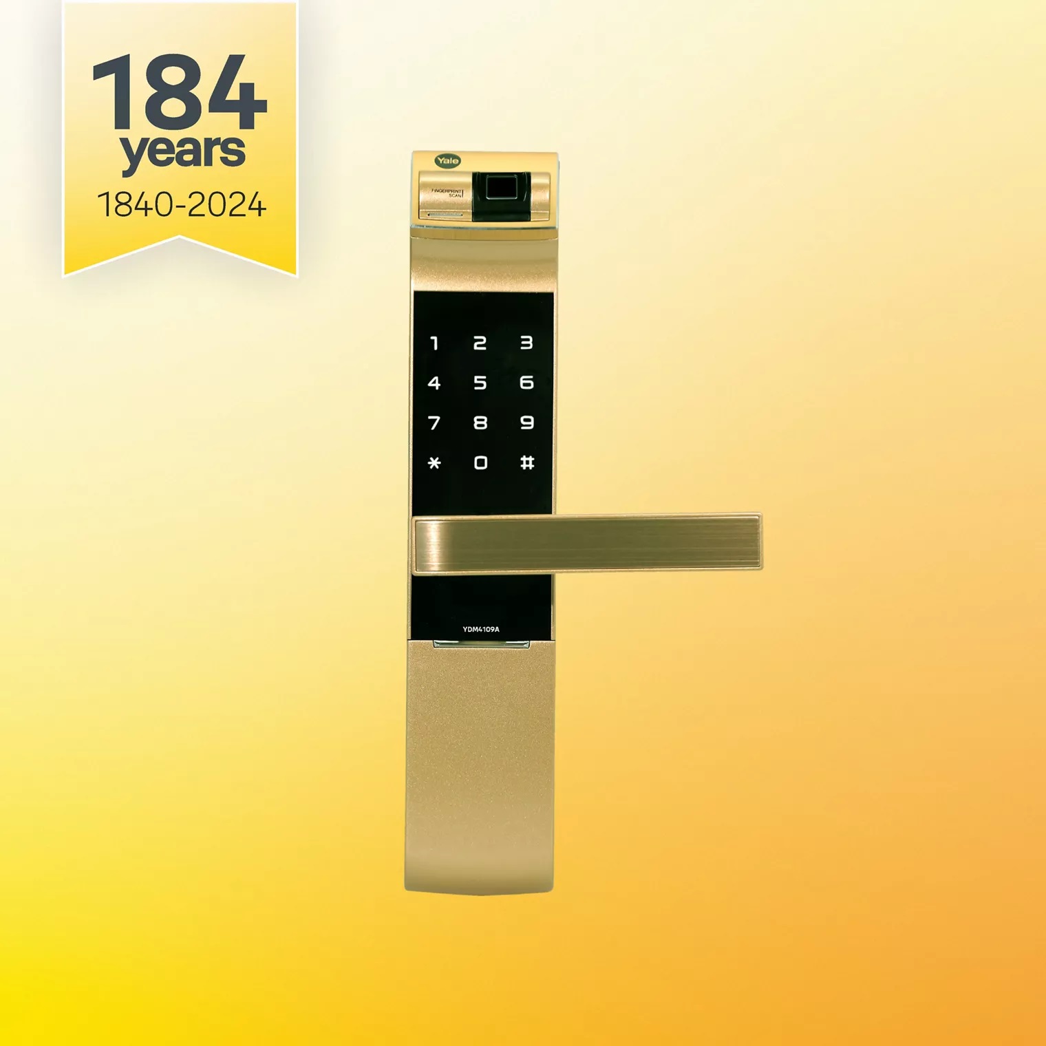 Yale YDM 4109A Gold-5 Yale YDM 4109A Gold 5